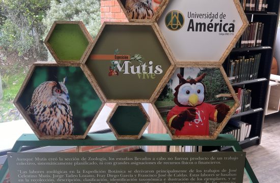búho colección Mutis universidad de América